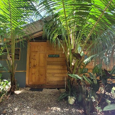 Private Jungle “Loft Del Rio” River Access Uvita Exteriör bild