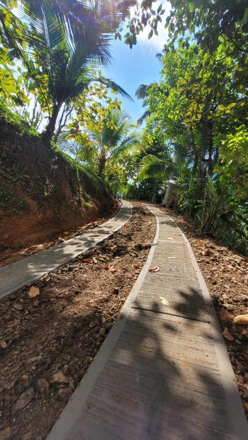 Private Jungle “Loft Del Rio” River Access Uvita Exteriör bild