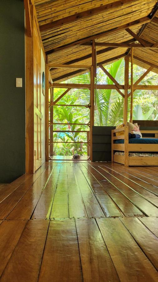 Private Jungle “Loft Del Rio” River Access Uvita Exteriör bild