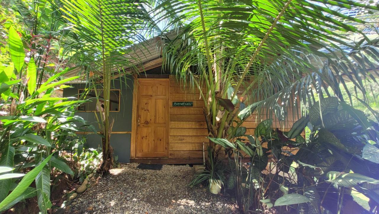 Private Jungle “Loft Del Rio” River Access Uvita Exteriör bild
