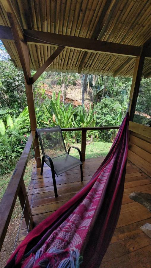 Private Jungle “Loft Del Rio” River Access Uvita Exteriör bild