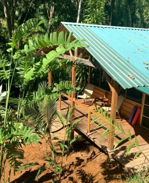 Private Jungle “Loft Del Rio” River Access Uvita Exteriör bild
