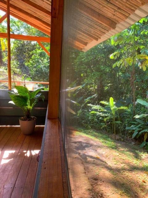 Private Jungle “Loft Del Rio” River Access Uvita Exteriör bild